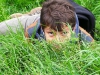 Ik verstop me in het gras